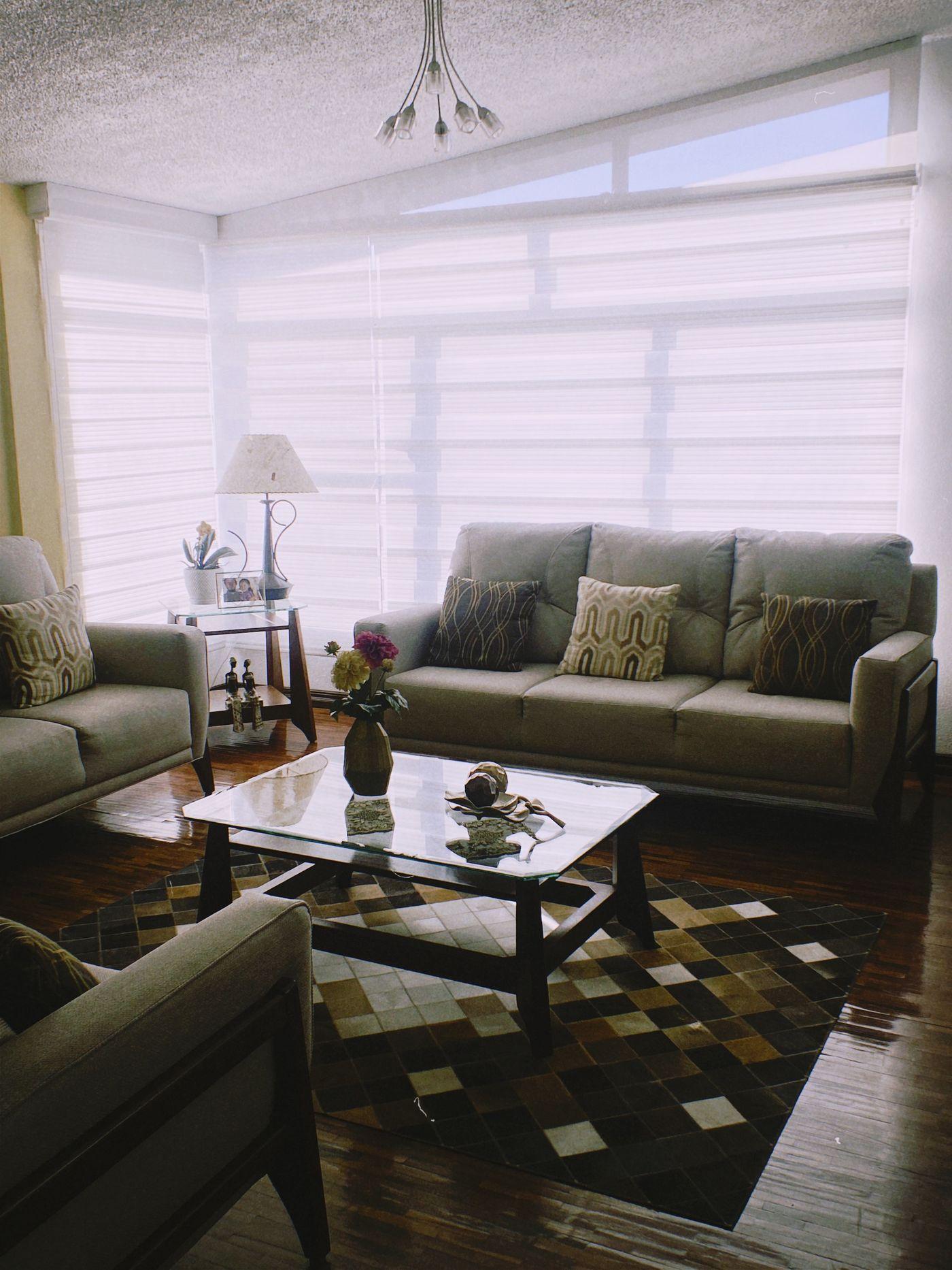 Bright, tidy living room with sofas, large windows and polished wooden flooring